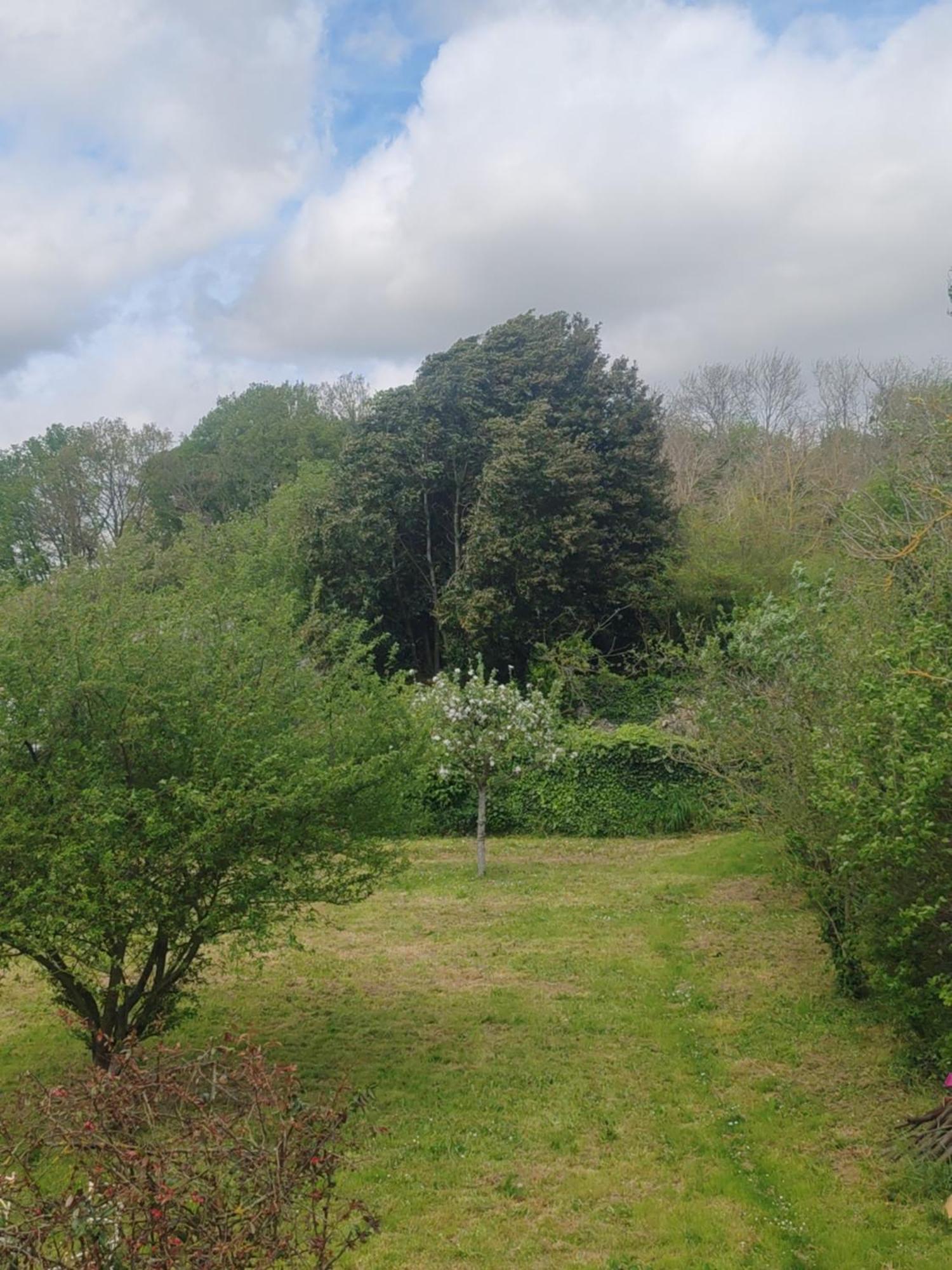 Bed and Breakfast Chez Peggy Jouarre Esterno foto